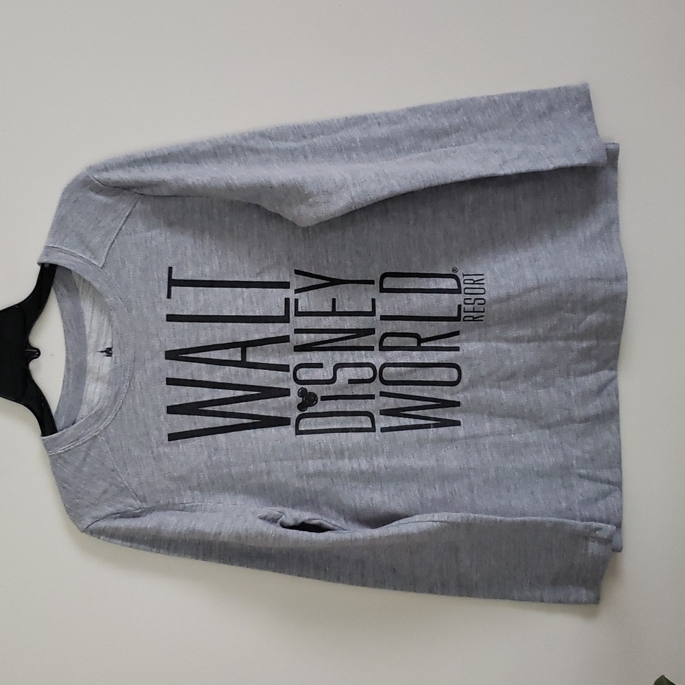Walt Disney World resorts sweatshirt, crewneck, gray, women's size large